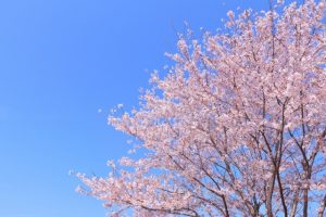 二次試験前日～当日の過ごし方